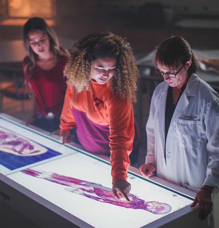 anatomage table'